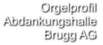 Orgelprofil  Abdankungshalle Brugg AG