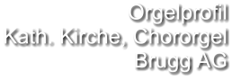Orgelprofil  Kath. Kirche, Chororgel Brugg AG
