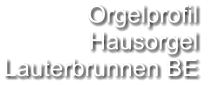 Orgelprofil  Hausorgel Lauterbrunnen BE