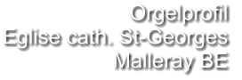 Orgelprofil  Eglise cath. St-Georges Malleray BE