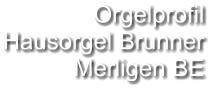 Orgelprofil  Hausorgel Brunner Merligen BE