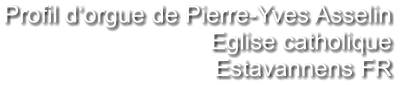 Profil d‘orgue de Pierre-Yves Asselin Eglise catholique  Estavannens FR