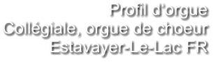 Profil d‘orgue  Collégiale, orgue de choeur Estavayer-Le-Lac FR