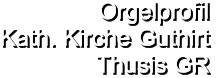 Orgelprofil  Kath. Kirche Guthirt Thusis GR