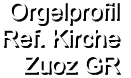 Orgelprofil  Ref. Kirche Zuoz GR