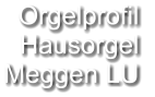 Orgelprofil  Hausorgel Meggen LU