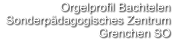 Orgelprofil Bachtelen  Sonderpädagogisches Zentrum  Grenchen SO