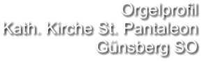Orgelprofil  Kath. Kirche St. Pantaleon Günsberg SO