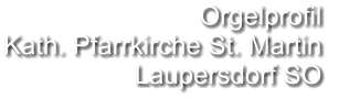 Orgelprofil  Kath. Pfarrkirche St. Martin Laupersdorf SO