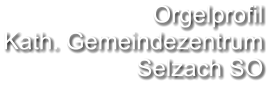 Orgelprofil  Kath. Gemeindezentrum Selzach SO