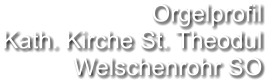 Orgelprofil  Kath. Kirche St. Theodul Welschenrohr SO