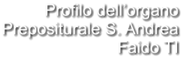 Profilo dell’organo Prepositurale S. Andrea Faido TI