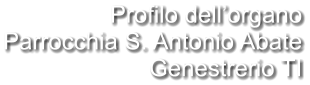 Profilo dell’organo Parrocchia S. Antonio Abate Genestrerio TI