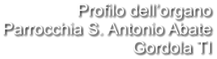 Profilo dell’organo Parrocchia S. Antonio Abate Gordola TI