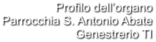 Profilo dell’organo Parrocchia S. Antonio Abate Genestrerio TI