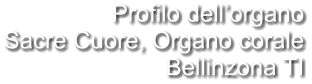 Profilo dell’organo Sacre Cuore, Organo corale Bellinzona TI