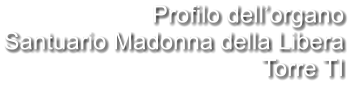 Profilo dell’organo Santuario Madonna della Libera Torre TI