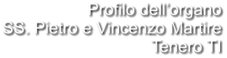 Profilo dell’organo SS. Pietro e Vincenzo Martire Tenero TI