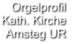 Orgelprofil  Kath. Kirche Amsteg UR