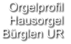 Orgelprofil  Hausorgel Bürglen UR